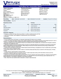 Interpretation Report